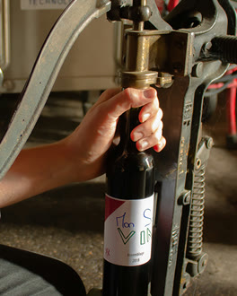 Mise en bouteille à la cave