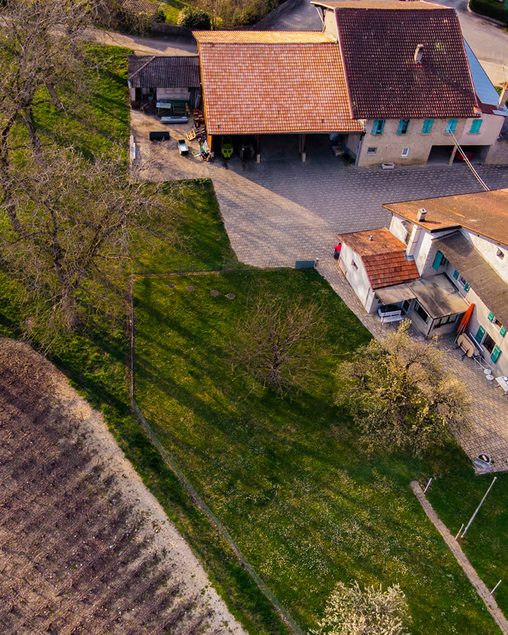 Vue aérienne du domaine et de ses vignes